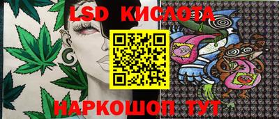 спайс Новодвинск