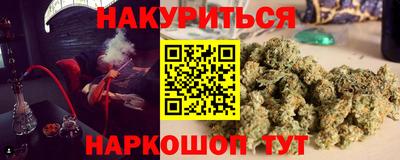 альфа пвп Новокубанск