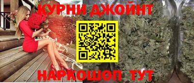 молекула духа Новозыбков