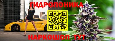 альфа пвп Новокубанск