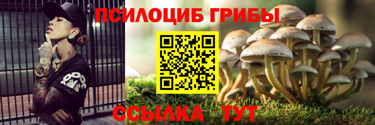 Галлюциногенные грибы мицелий Ступино